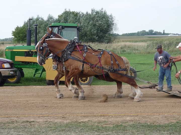 alto-fair-horse-pull-2009-369