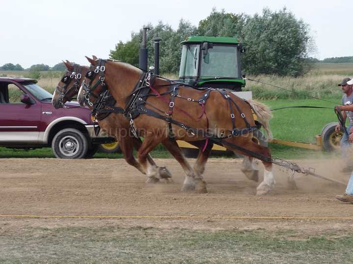 alto-fair-horse-pull-2009-371