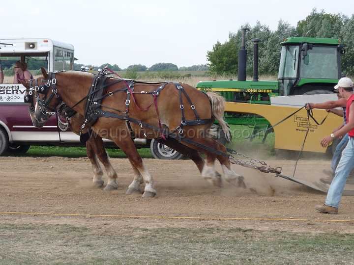 alto-fair-horse-pull-2009-373