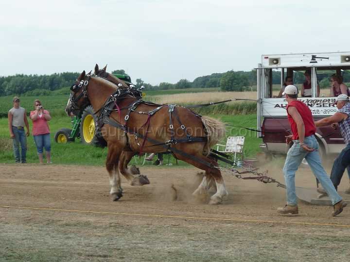 alto-fair-horse-pull-2009-377