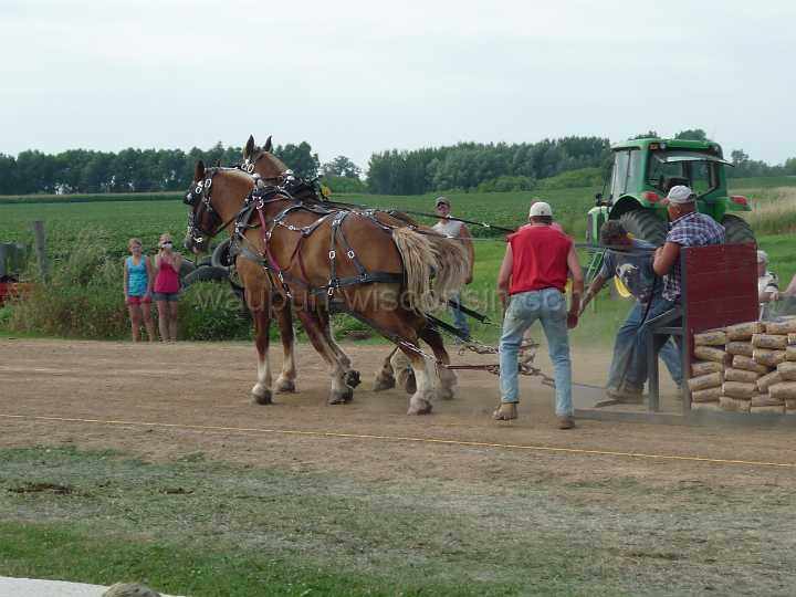 alto-fair-horse-pull-2009-381