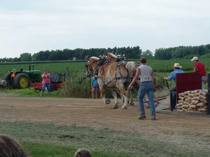alto-fair-horse-pull-2009-386
