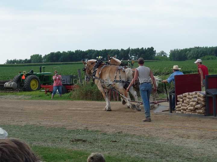 alto-fair-horse-pull-2009-387