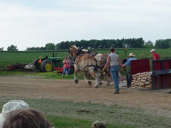 alto-fair-horse-pull-2009-389
