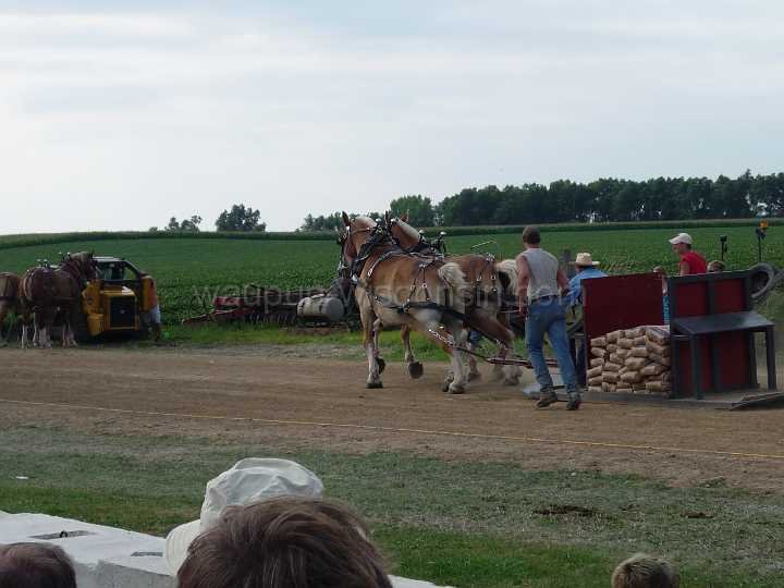 alto-fair-horse-pull-2009-392
