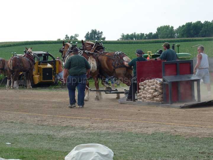 alto-fair-horse-pull-2009-396