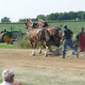 alto-fair-horse-pull-2009-347
