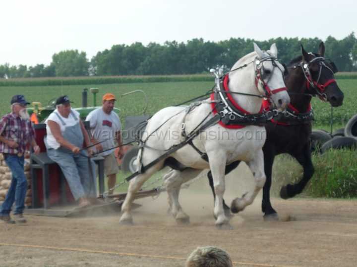 alto-fair-horse-pull-2009-420