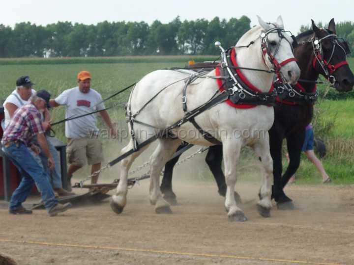 alto-fair-horse-pull-2009-423