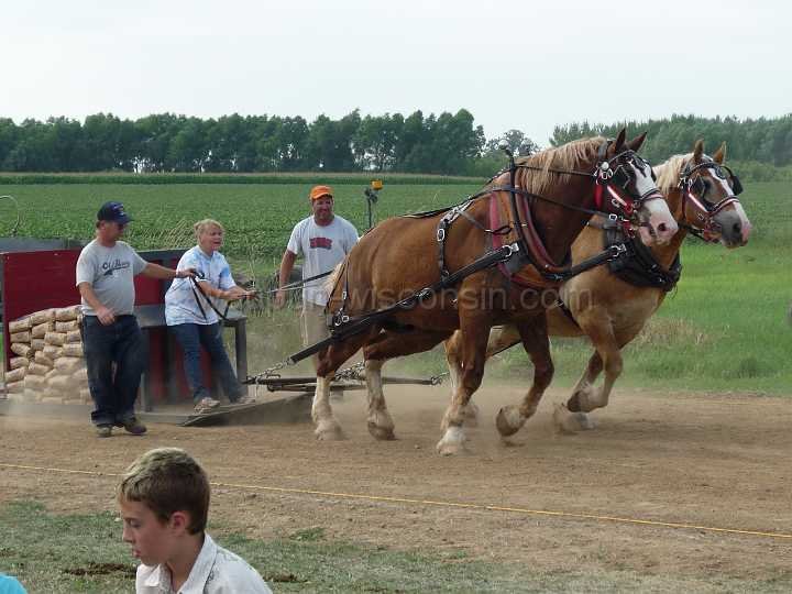 alto-fair-horse-pull-2009-427