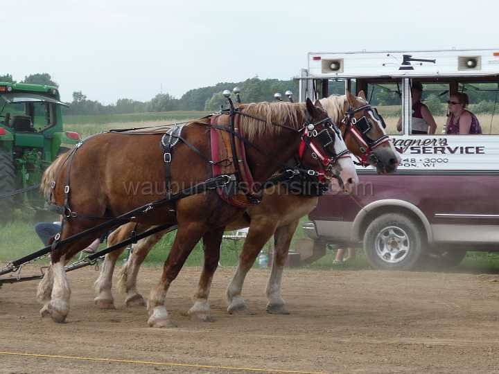 alto-fair-horse-pull-2009-442