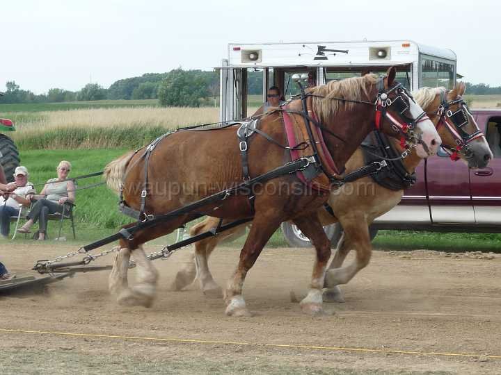 alto-fair-horse-pull-2009-453