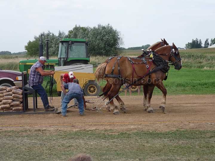 alto-fair-horse-pull-2009-469