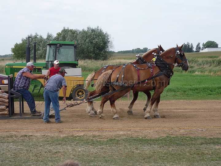 alto-fair-horse-pull-2009-471