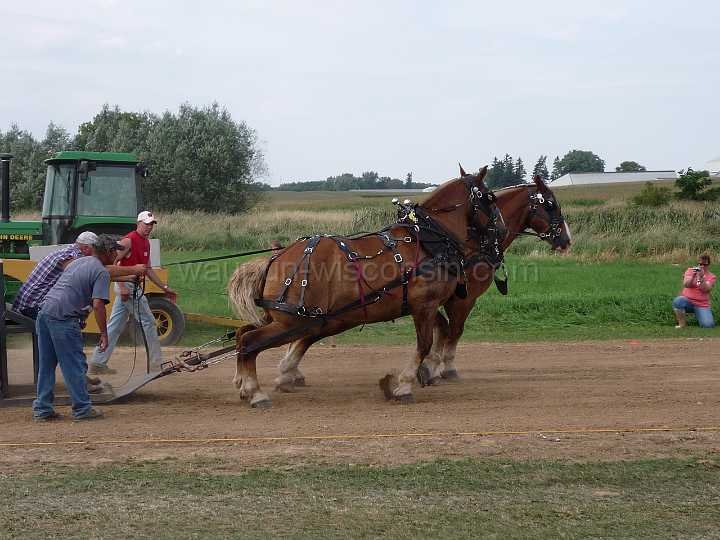 alto-fair-horse-pull-2009-473