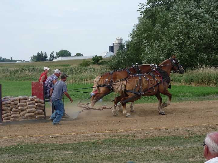 alto-fair-horse-pull-2009-479