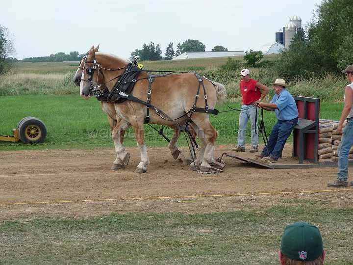 alto-fair-horse-pull-2009-497