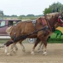 alto-fair-horse-pull-2009-457