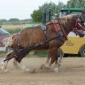 alto-fair-horse-pull-2009-458