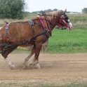alto-fair-horse-pull-2009-462