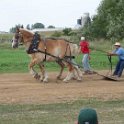 alto-fair-horse-pull-2009-490