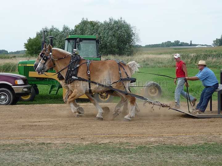 alto-fair-horse-pull-2009-502