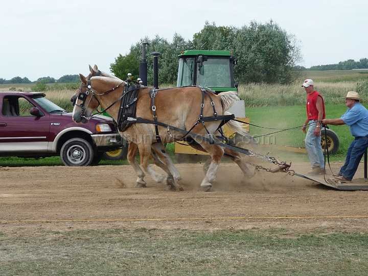 alto-fair-horse-pull-2009-503