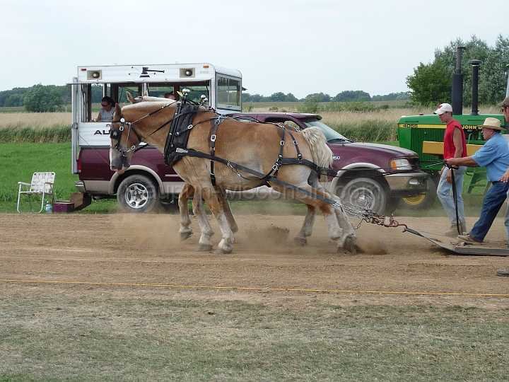 alto-fair-horse-pull-2009-506