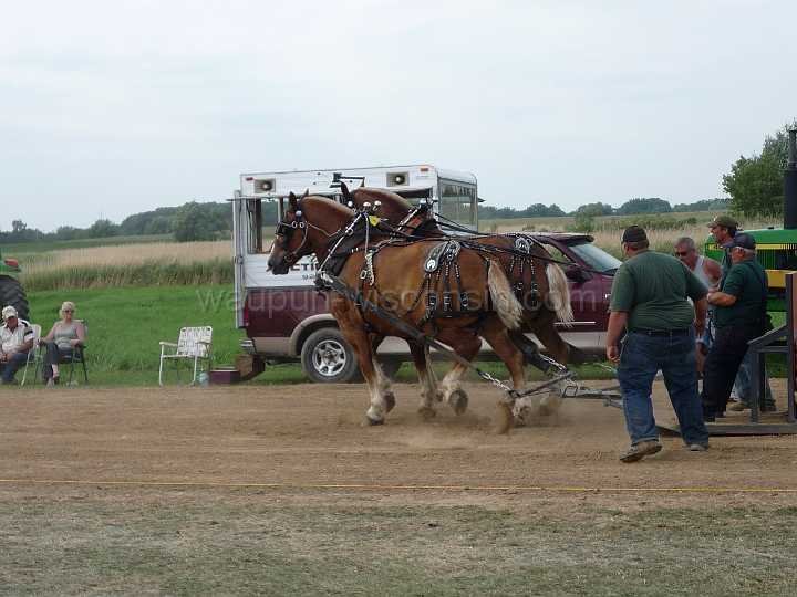 alto-fair-horse-pull-2009-513