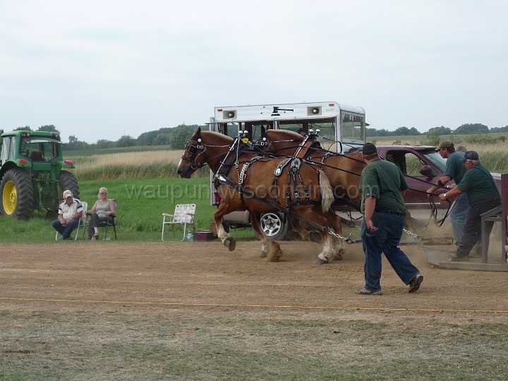 alto-fair-horse-pull-2009-515