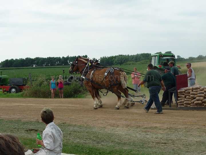alto-fair-horse-pull-2009-523