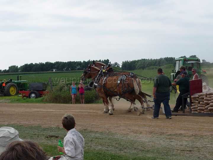 alto-fair-horse-pull-2009-524