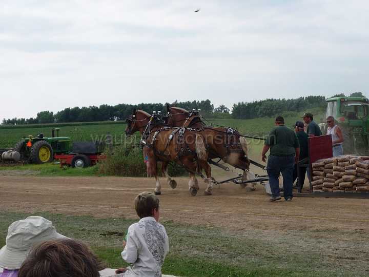 alto-fair-horse-pull-2009-526