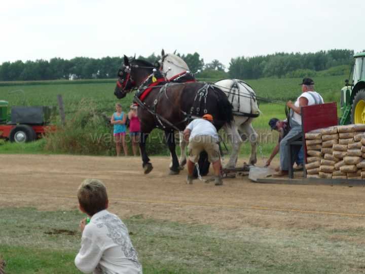 alto-fair-horse-pull-2009-528