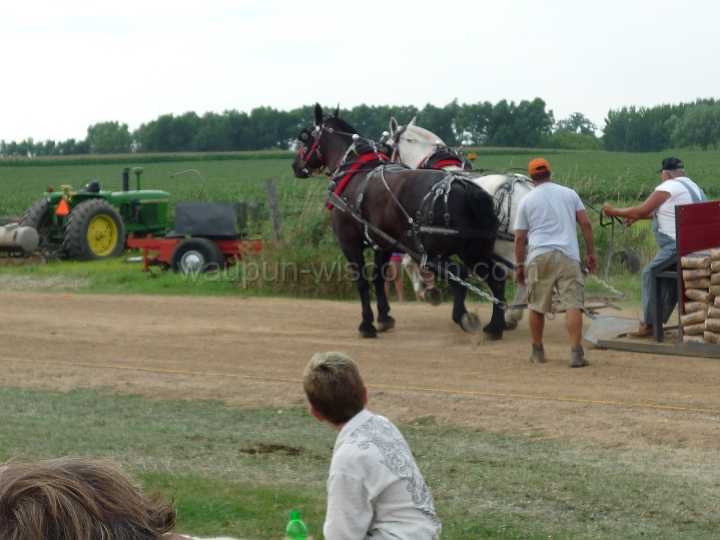 alto-fair-horse-pull-2009-535