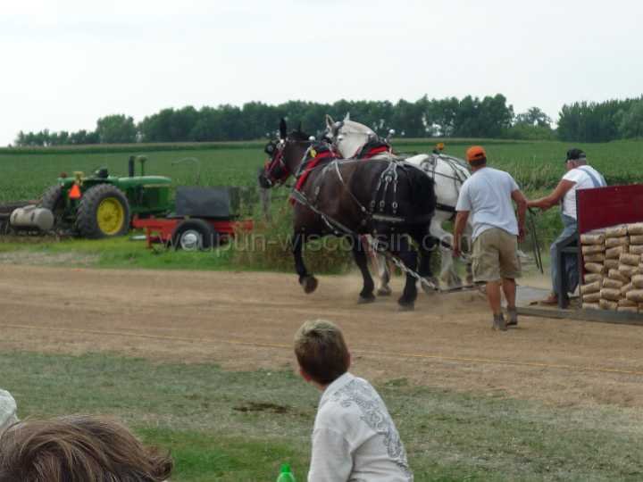alto-fair-horse-pull-2009-536