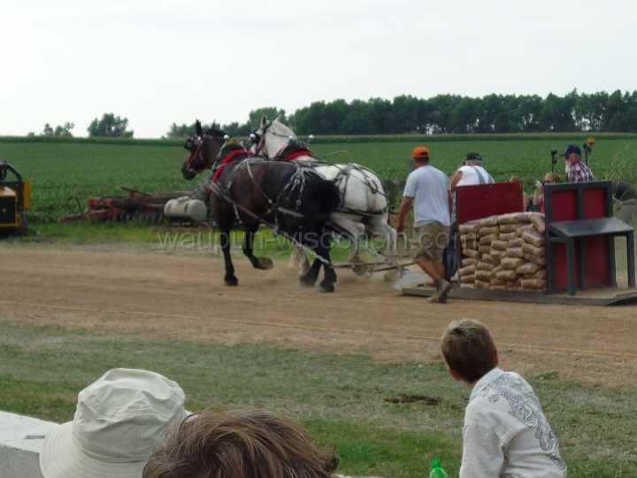 alto-fair-horse-pull-2009-541