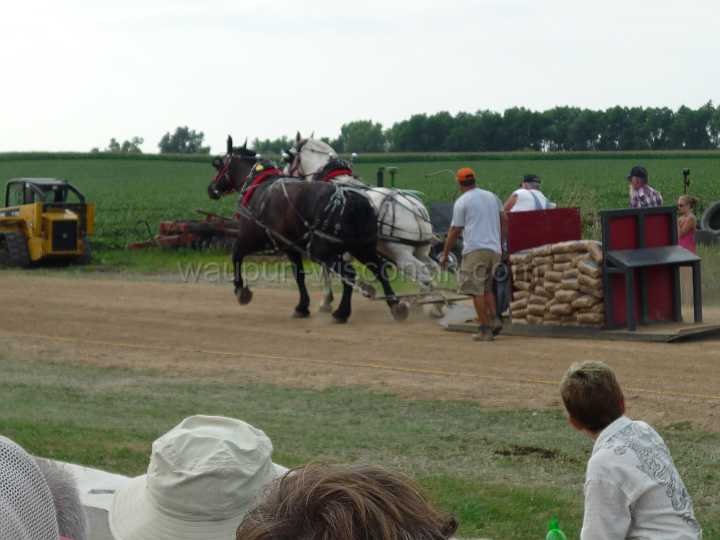 alto-fair-horse-pull-2009-542