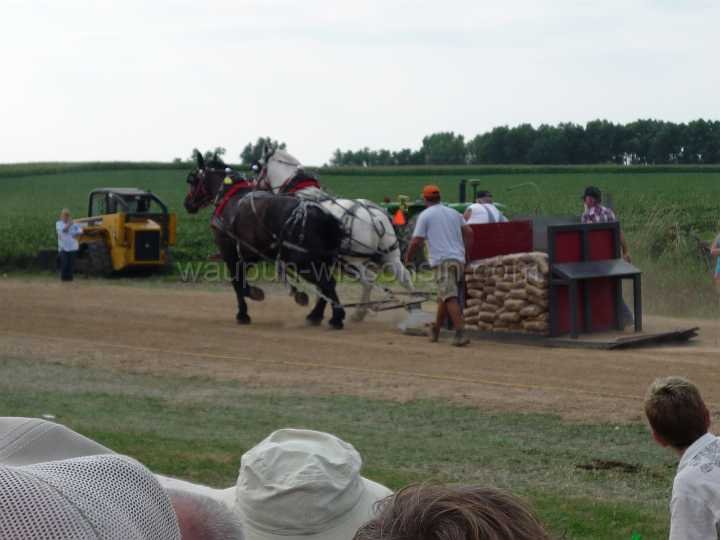 alto-fair-horse-pull-2009-544