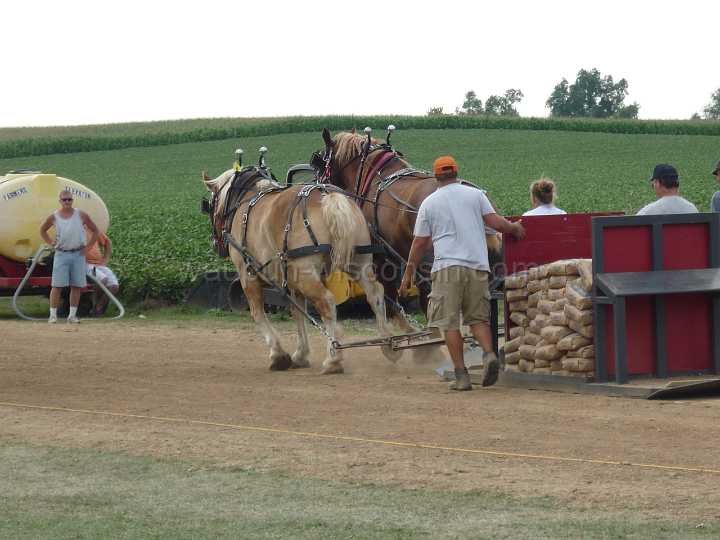 alto-fair-horse-pull-2009-559