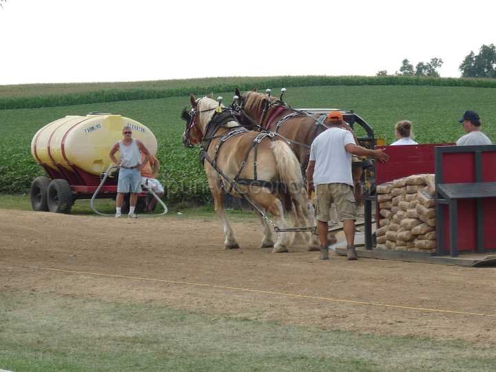 alto-fair-horse-pull-2009-562