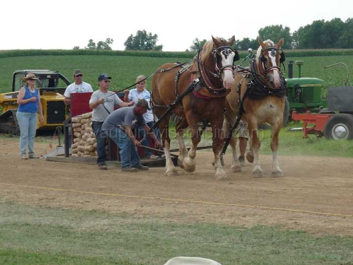 alto-fair-horse-pull-2009-564