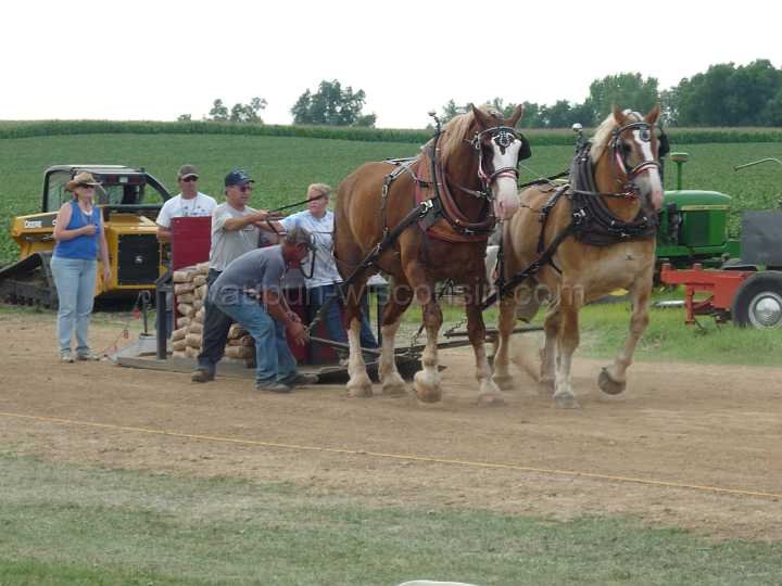 alto-fair-horse-pull-2009-567