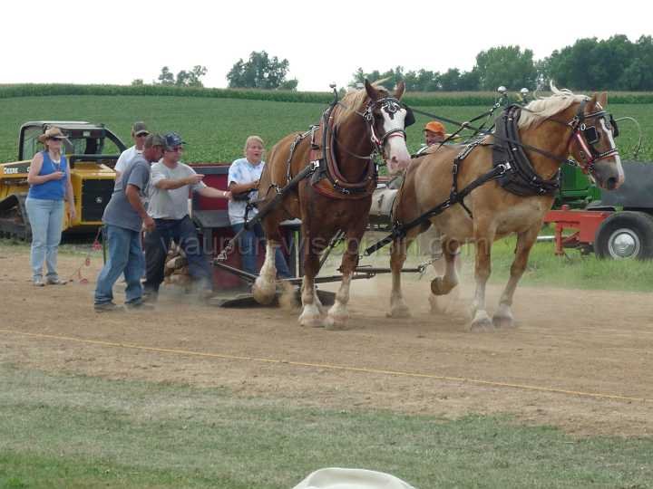 alto-fair-horse-pull-2009-568