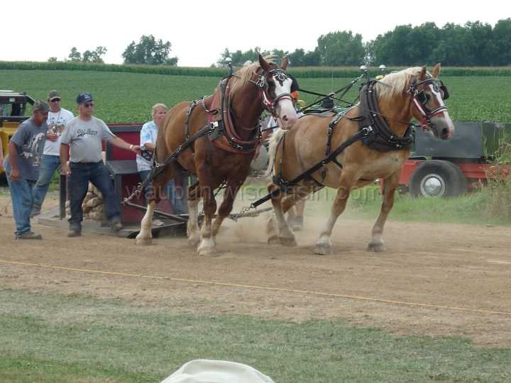 alto-fair-horse-pull-2009-569