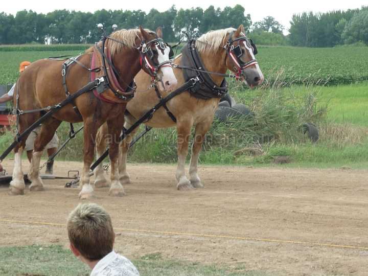 alto-fair-horse-pull-2009-581