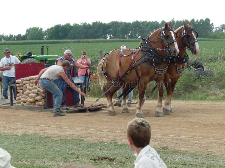 alto-fair-horse-pull-2009-584