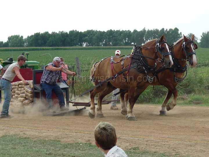 alto-fair-horse-pull-2009-585