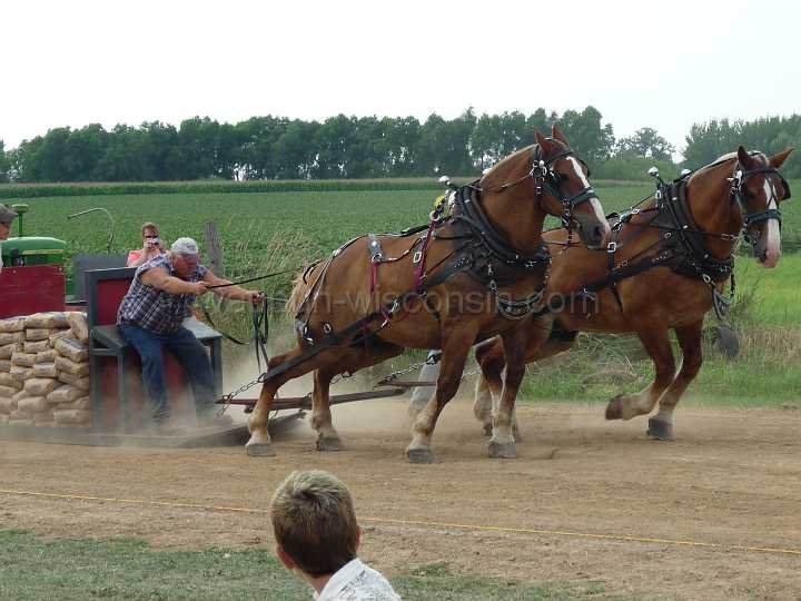 alto-fair-horse-pull-2009-586