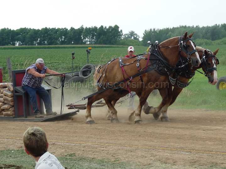 alto-fair-horse-pull-2009-588
